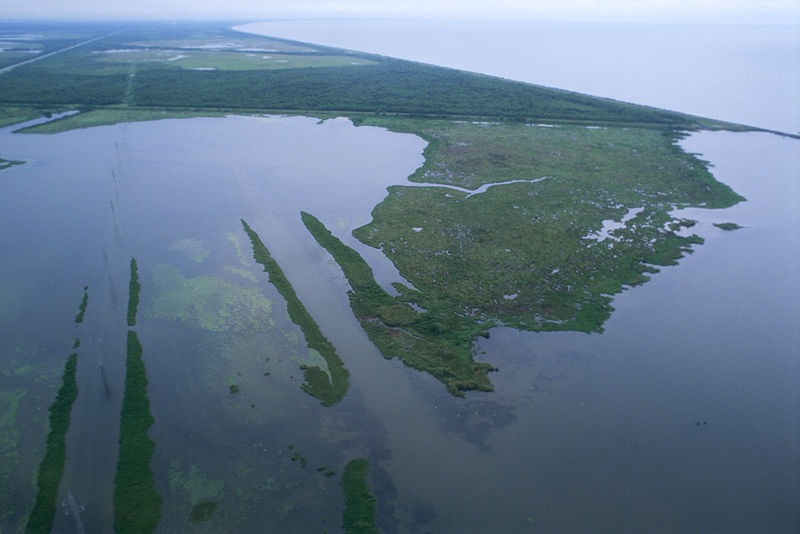 800px-Louisiana_wetlands_aerial_view