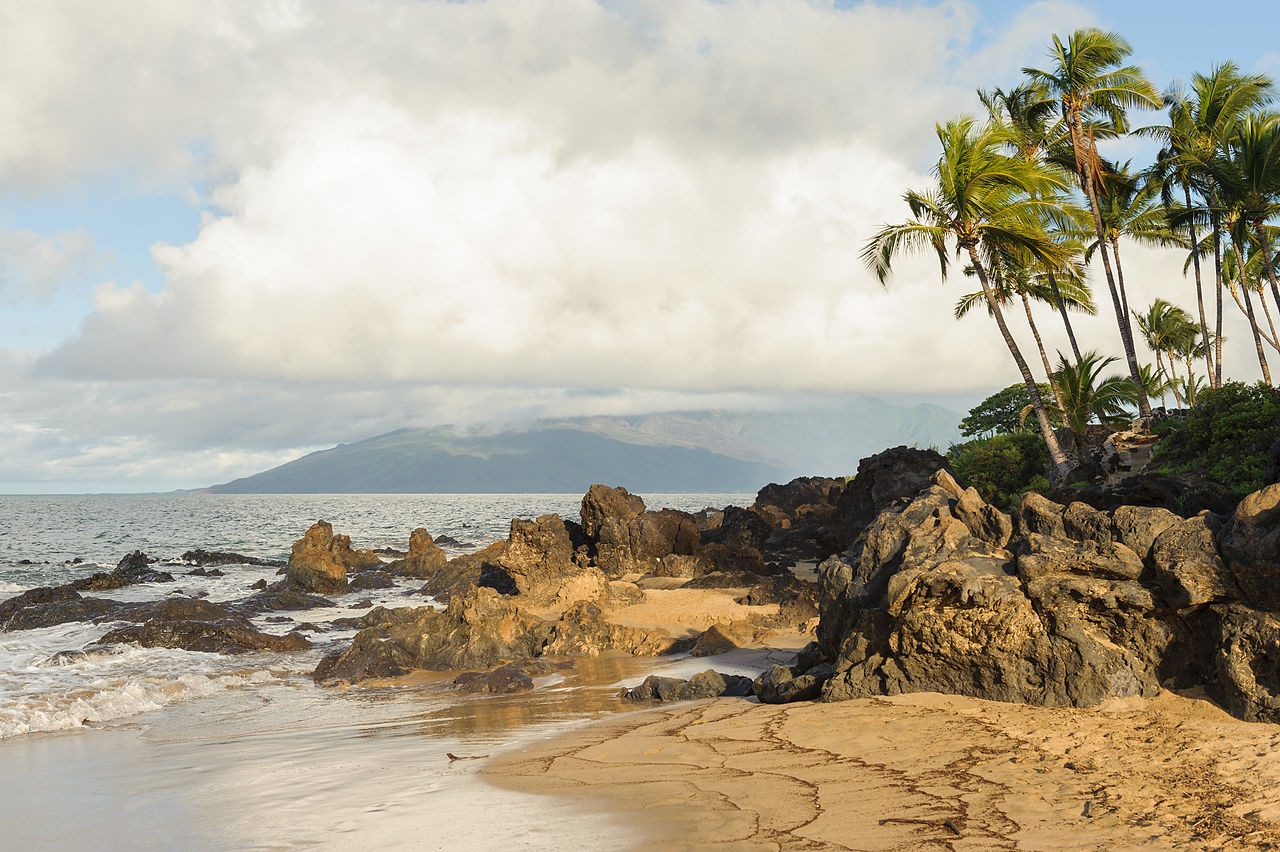 Maui,_Hawaii_beach