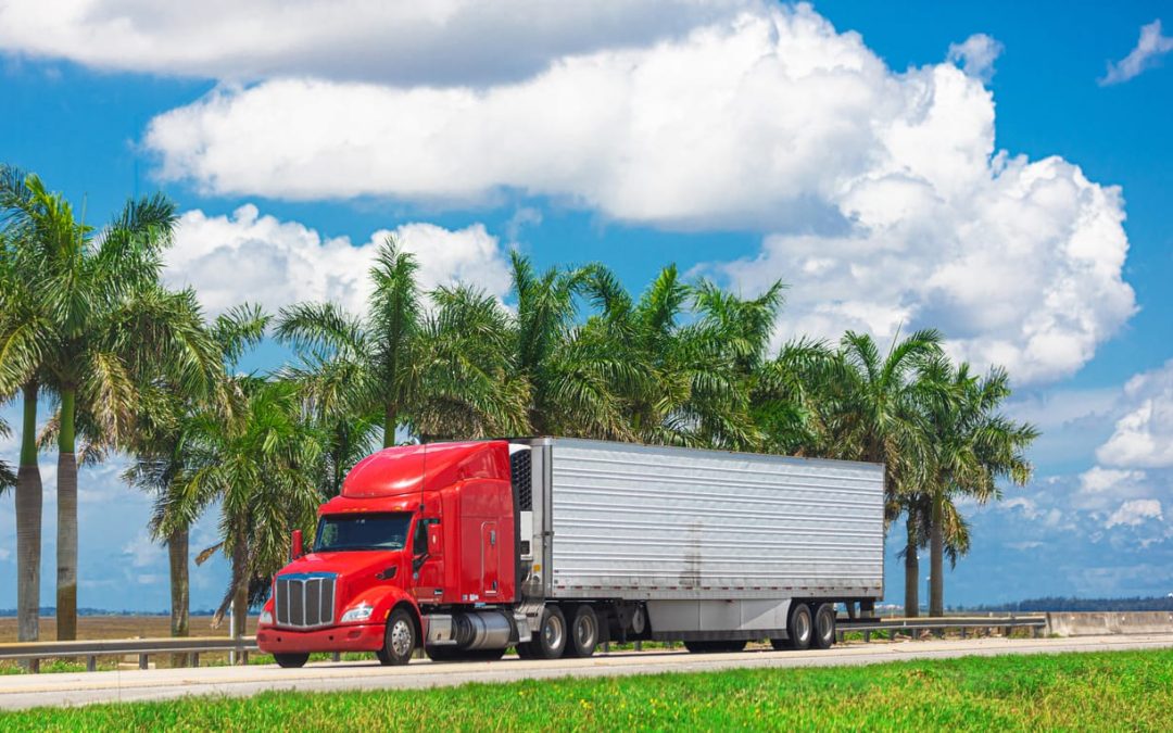 Chicago to Tampa Car Shipping: Complete Snowbird Route Guide & Pricing