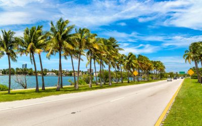 The 700-Mile Calculation: Is Shipping Your Car from Florida to North Carolina Actually Cheaper Than the I-95 Drive?